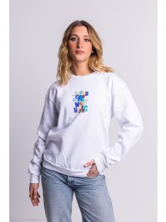 JESUS CAN HEAL WHAT YOU'RE HIDING unisex sweatshirt