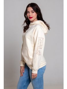 Jesus saves- Romans 3:23-24 unisex sweater