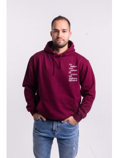 FRUIT OF THE SPIRIT unisex hoodie