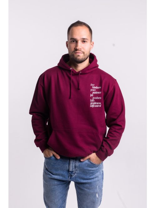 FRUIT OF THE SPIRIT unisex hoodie